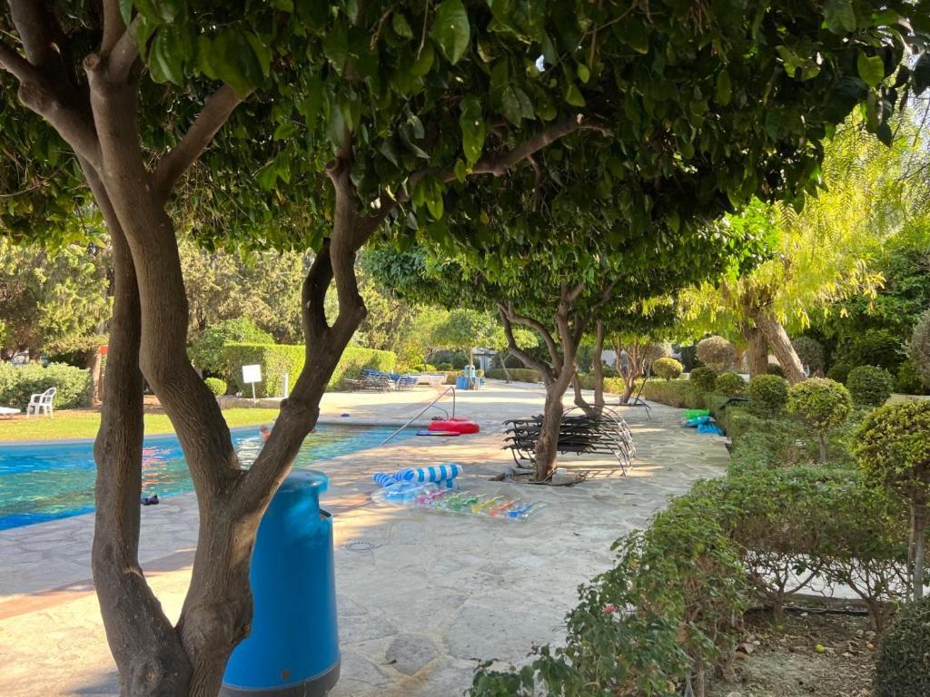 Cozy Apartment In Paphos Beautiful Complex Eksteriør billede
